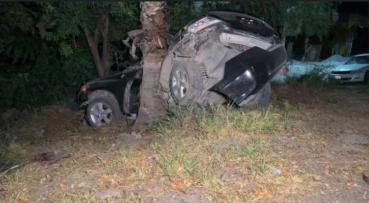 Conductor pierde la vida tras impactar su vehículo contra una palmera en colonia Las Brisas