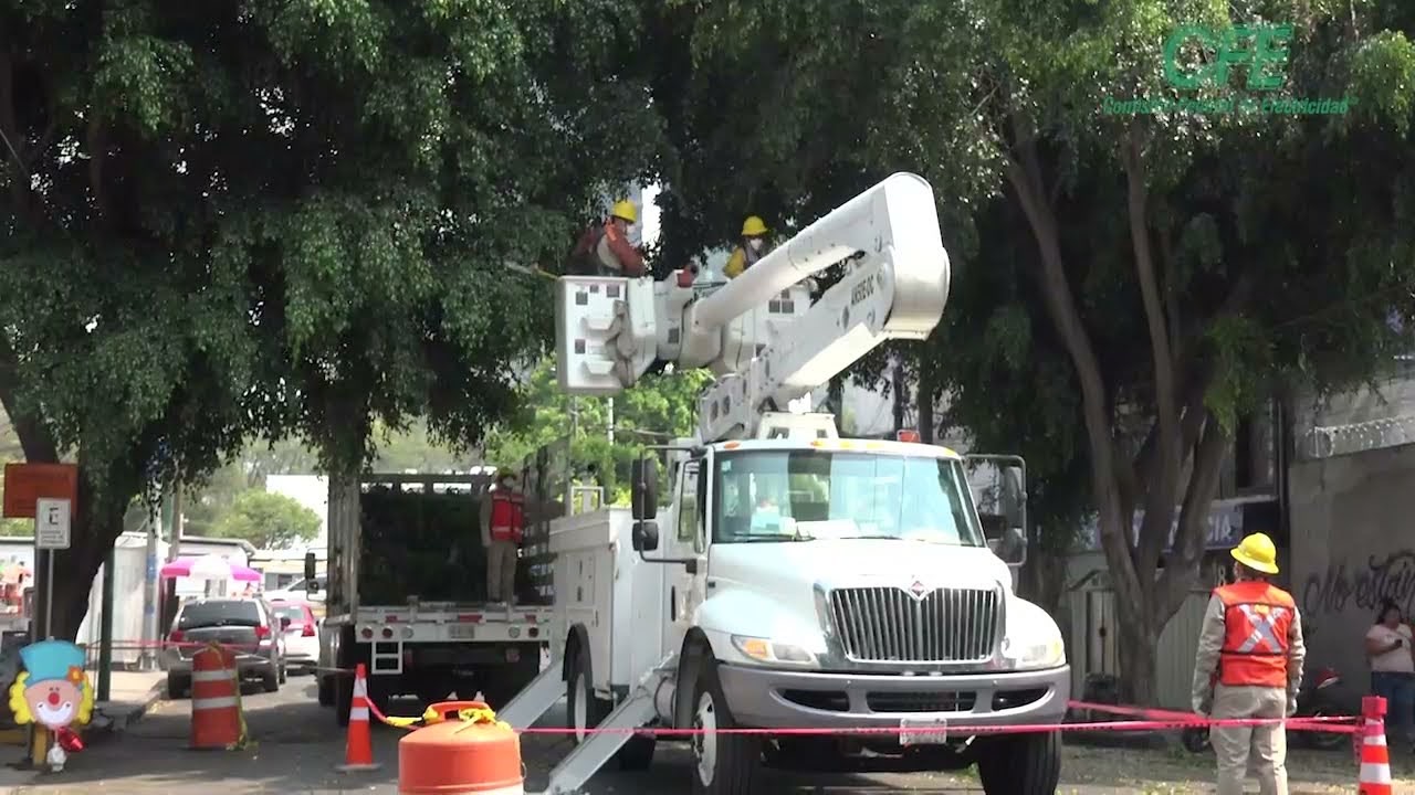 Trabajadores realizan poda de árboles cerca de cableado eléctrico para prevenir apagones en Tamaulipas