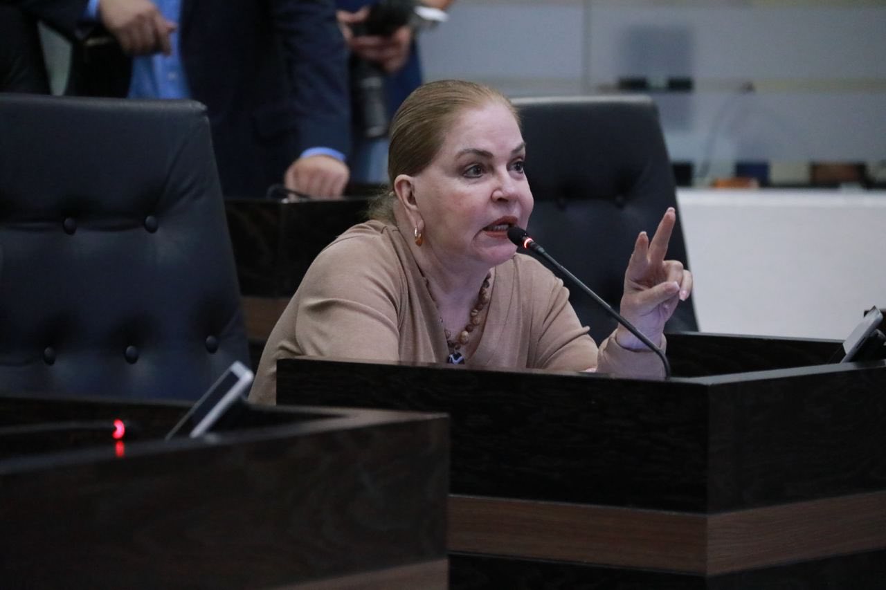 Diputada Mercedes del Carmen Guillén Vicente durante pronunciamiento sobre irregularidades en cuentas públicas de Tamaulipas 2024