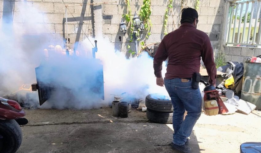 Dengue en Tamaulipas 2026: solo 21 casos confirmados hasta la semana 27