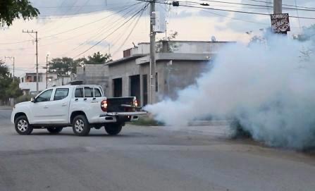 Mapa o imagen representativa de dengue en Tamaulipas 2026 con mosquito Aedes aegypti