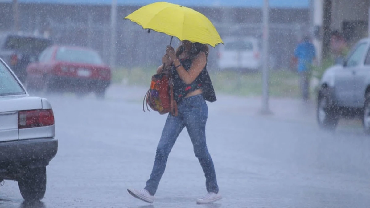 El Niño reduciría la actividad ciclónica en Tamaulipas esta temporada