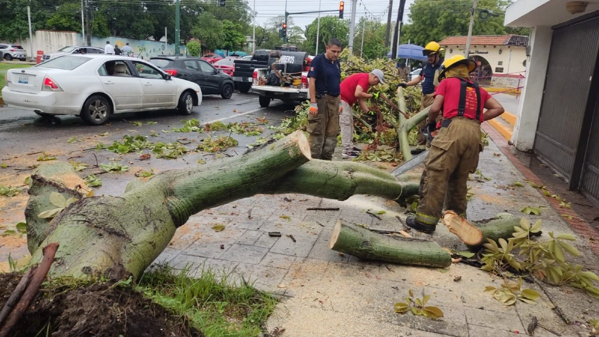 Fuertes lluvias dejan daños viales e inundaciones en Ciudad Victoria