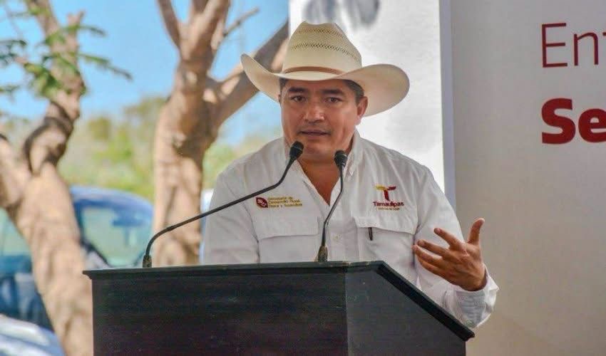 Ganado bovino bajo vigilancia sanitaria por gusano barrenador en Tamaulipas