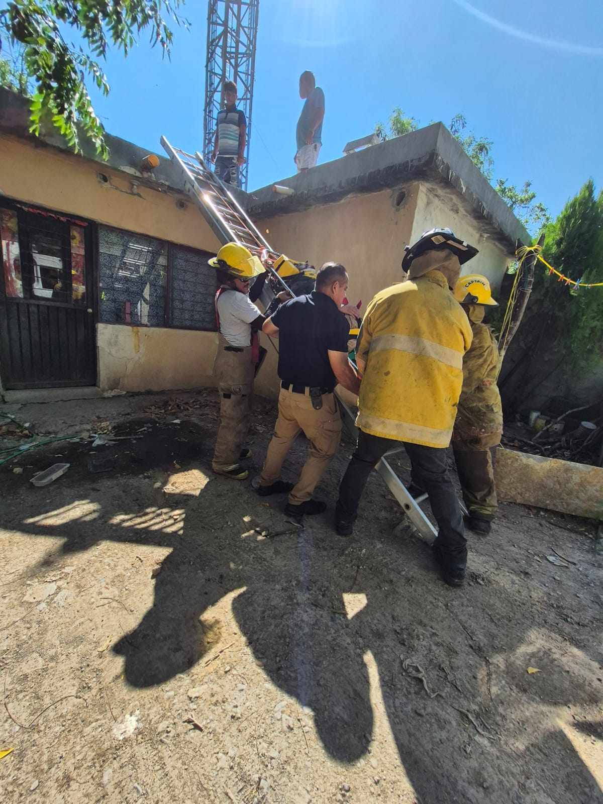 Hombre resulta herido tras caer de árbol sobre techo en Victoria