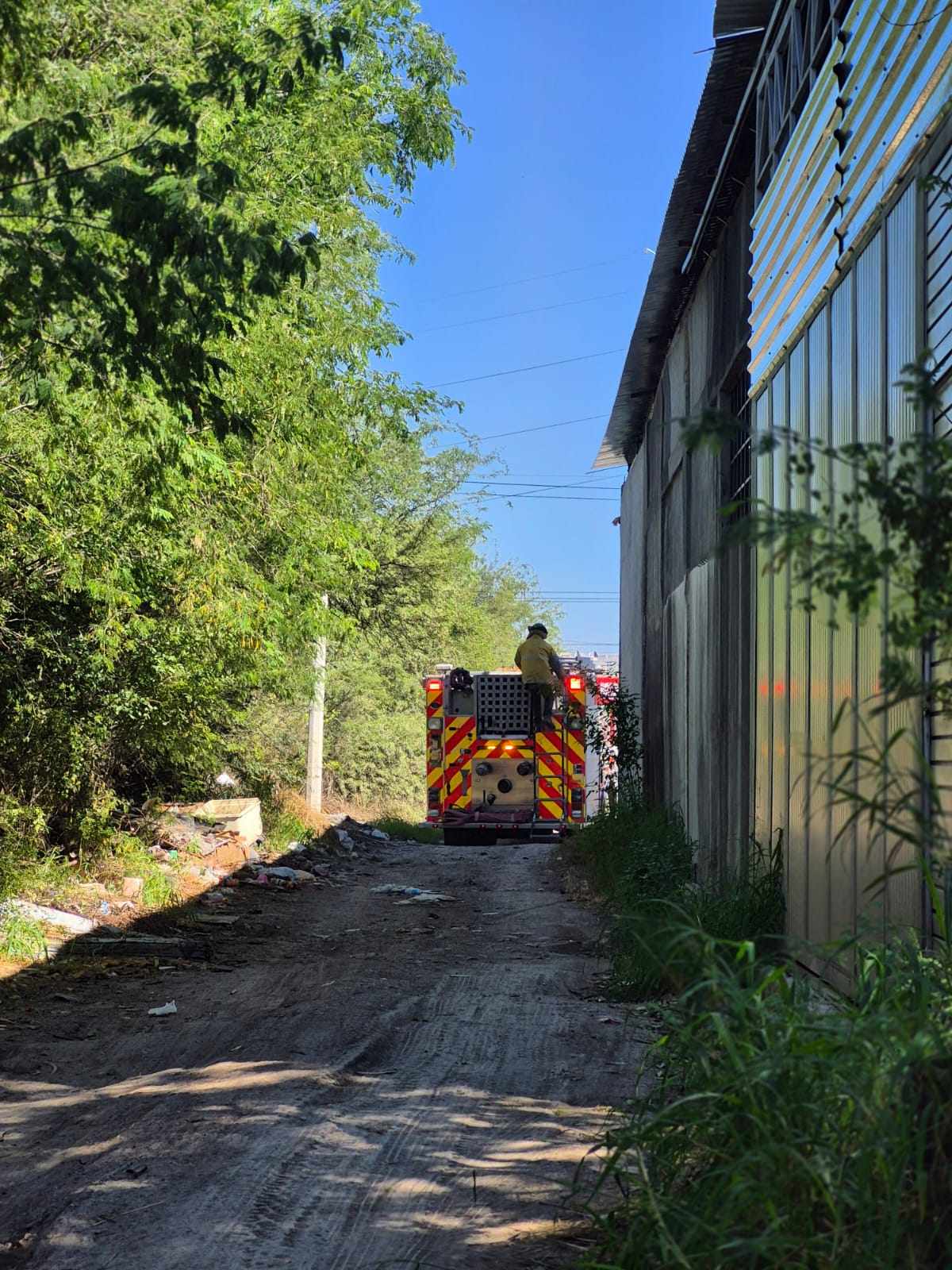 Hombre resulta herido tras caer de árbol sobre techo en Victoria