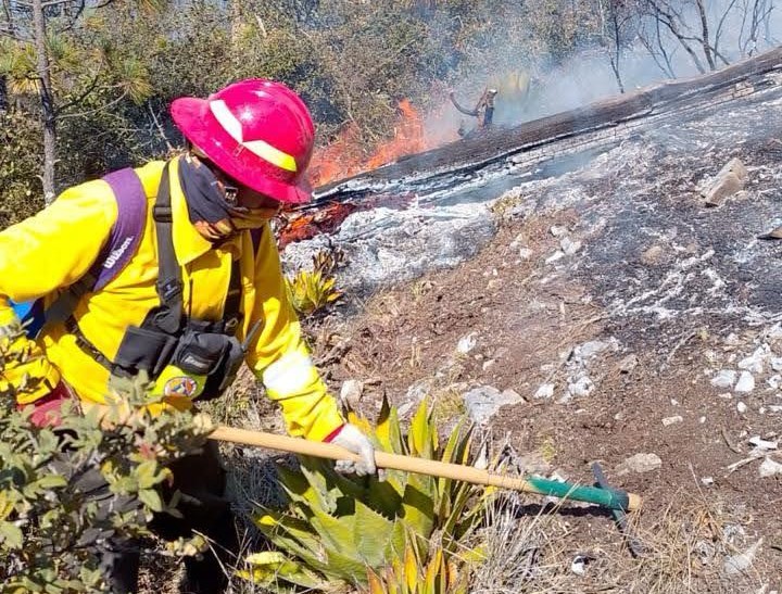 Incendios forestales en Tamaulipas queman 175 hectáreas en San Carlos y Jaumave