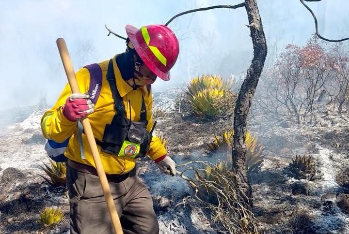 Dos incendios forestales siguen activos en Tamaulipas con 116 hectáreas dañadas
