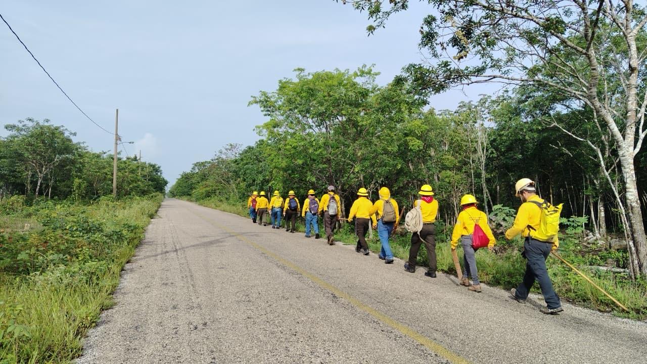 Zona serrana afectada por incendios forestales en Tamaulipas durante la temporada crítica de julio y agosto