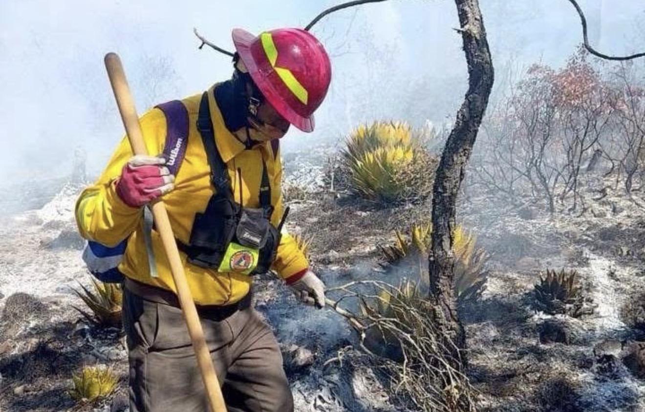 Incendios en Tamaulipas durante la canícula: terrenos baldíos y llantas en desuso aumentan el riesgo de fuego