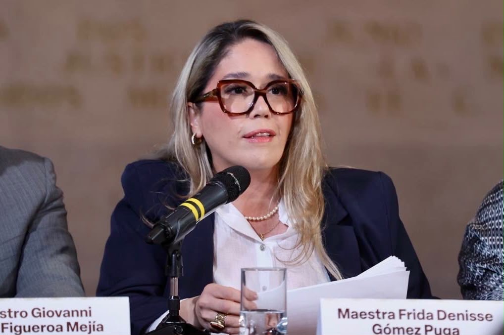 Consejera del INE Frida Denisse Gómez Puga pide vetar nexos con crimen organizado en candidaturas 2027
