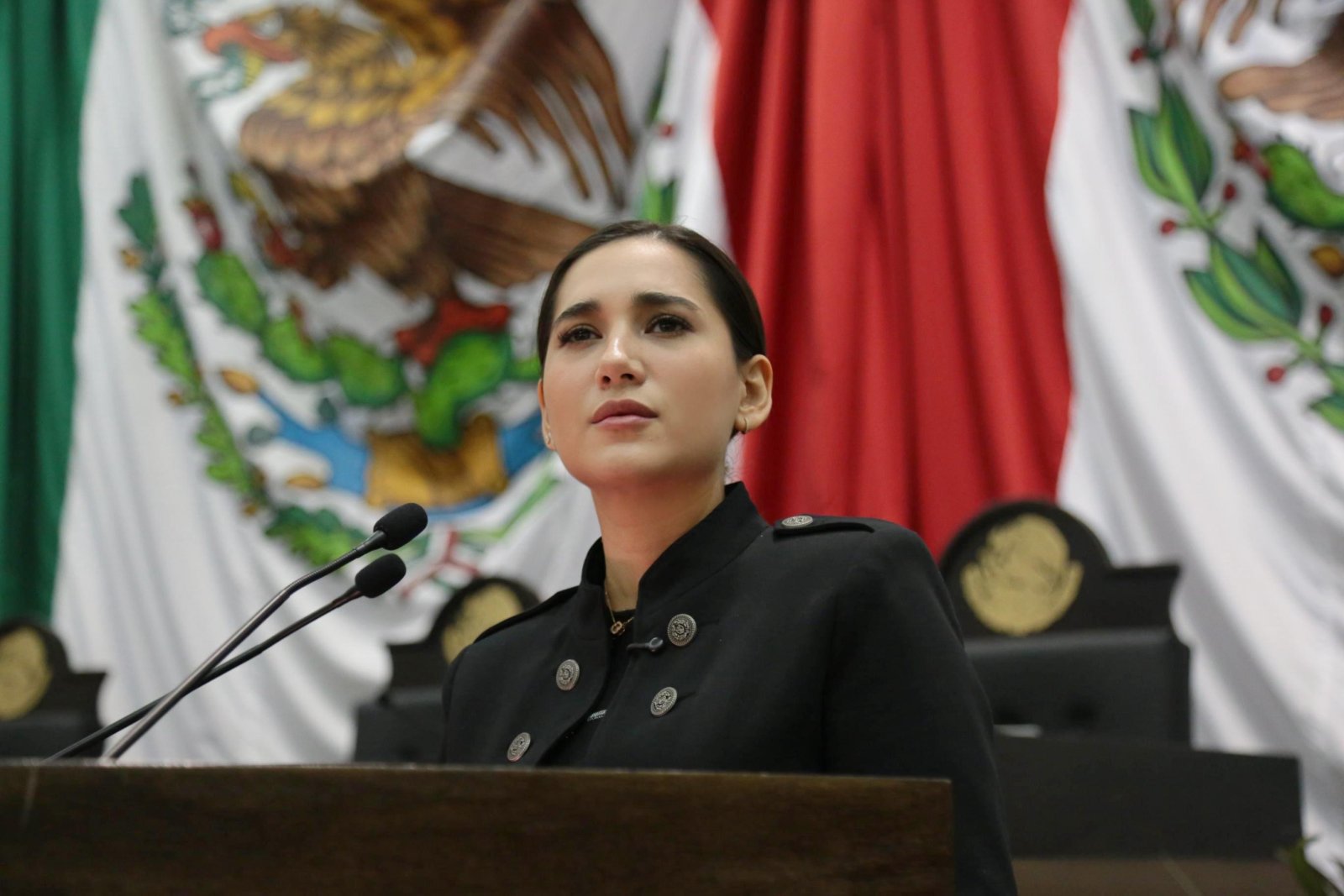 Diputada Katalyna Méndez presenta Ley de Infraestructura Pública en Tamaulipas ante el Congreso del estado