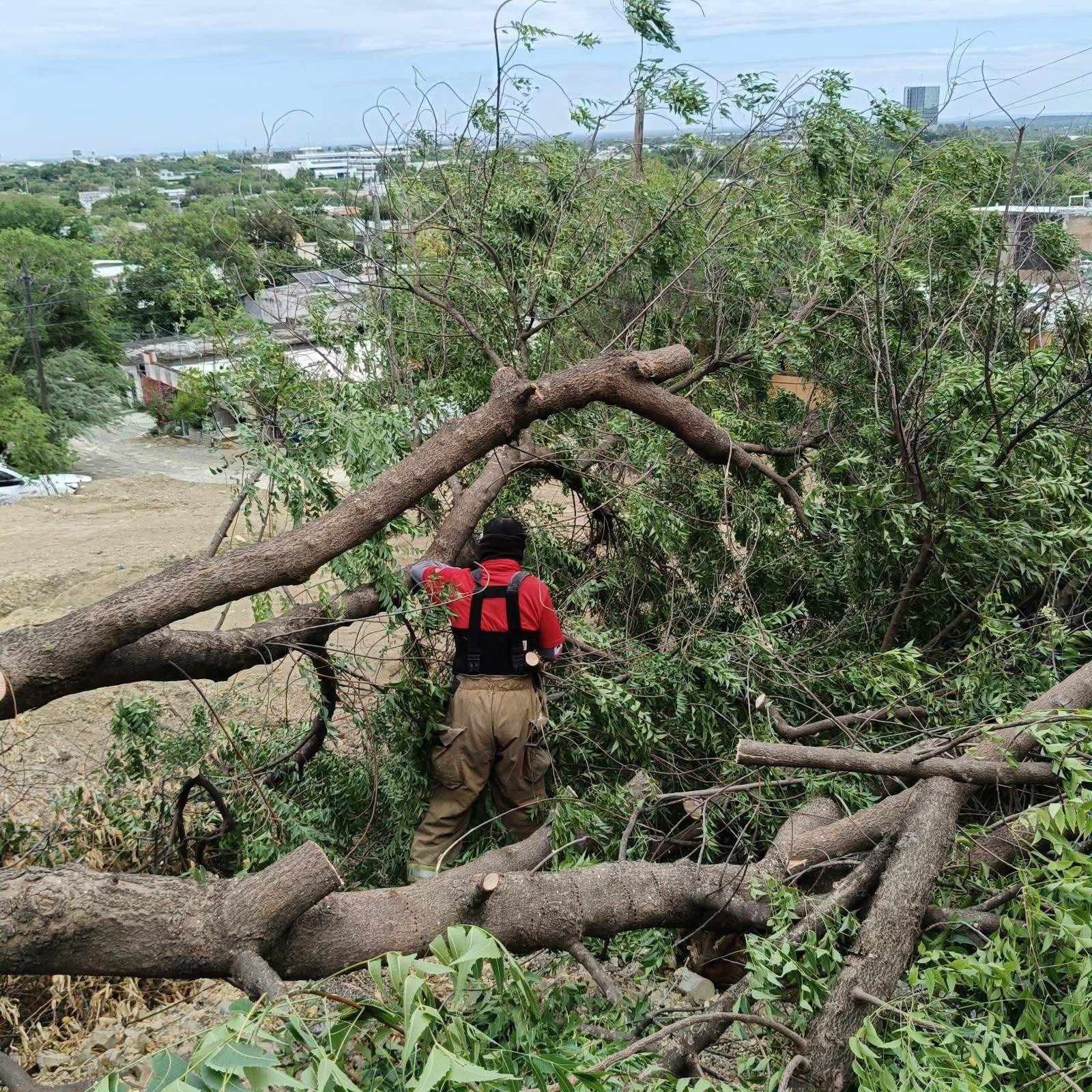 Bomberos atienden afectaciones por lluvias y viento en Ciudad Victoria