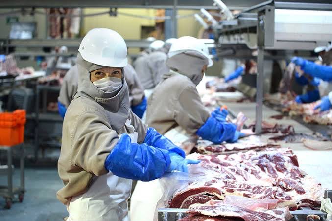 Rastro TIF de la UAT impulsará exportación de carne tamaulipeca con proyecto Carne Tam