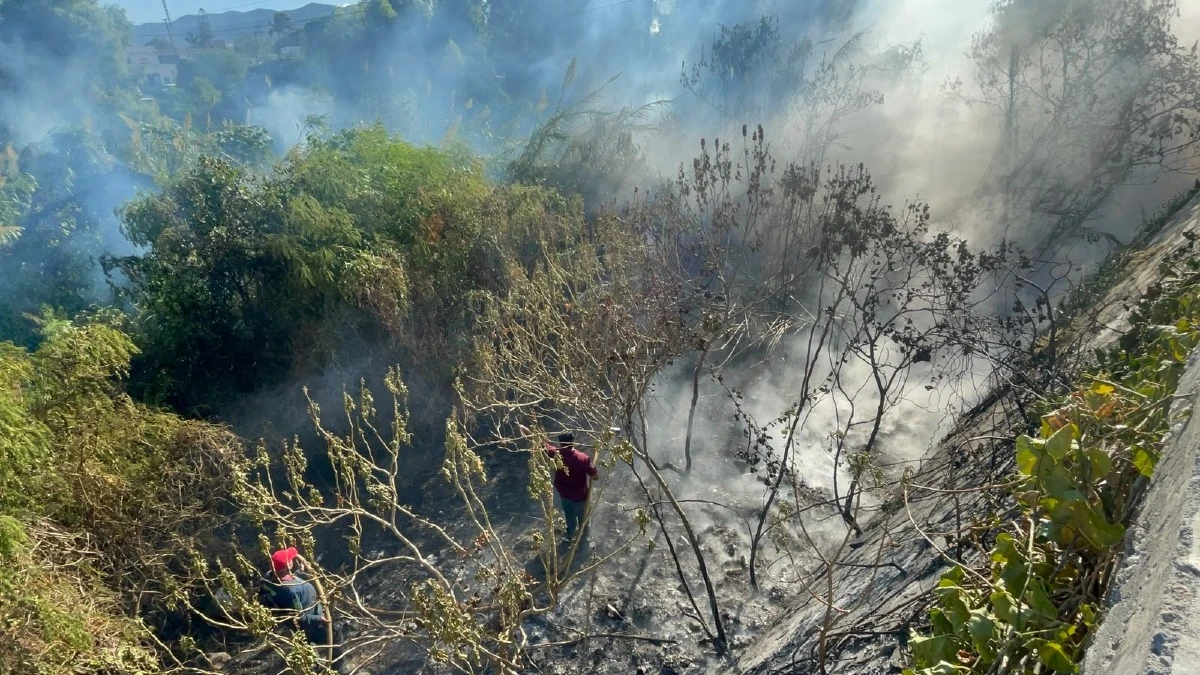 Río San Marcos: preparan reforestación tras incendio en Ciudad Victoria