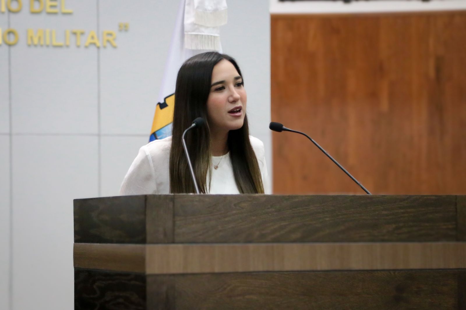 Diputada Katalyna Méndez Cepeda presenta iniciativa sobre servicios públicos de calidad en Tamaulipas ante el Congreso del Estado