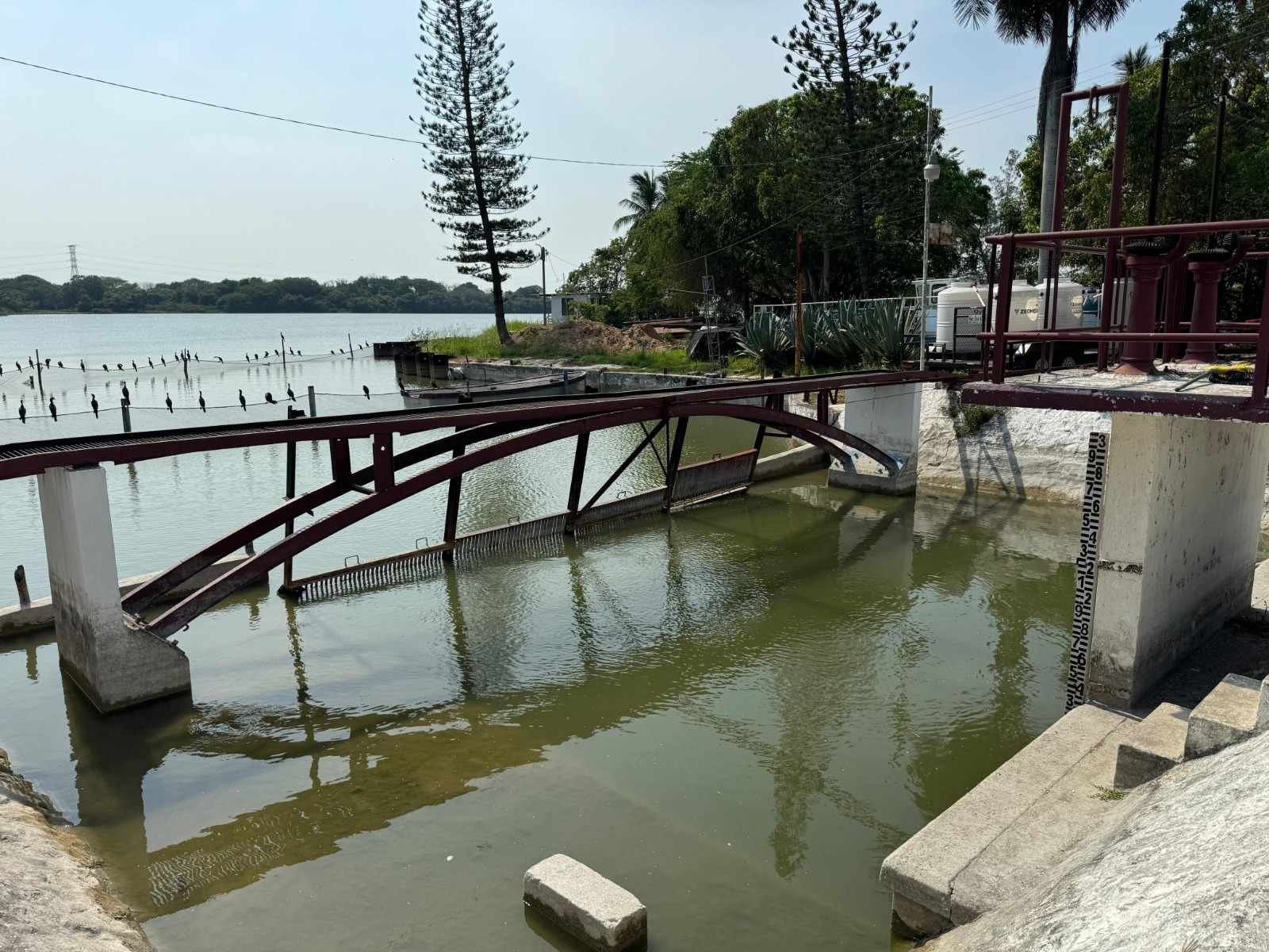 Vista del sistema lagunario Tamaulipas con nivel de agua por encima de la cota mínima de seguridad hídrica