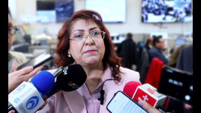 Ana Laura Huerta Valdovinos, diputada local y agente aduanal, habla sobre las revisiones anuales del T-MEC y la incertidumbre para la inversión en México.