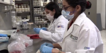 UAT impulsa programa de colaboración científica con universidades de EU