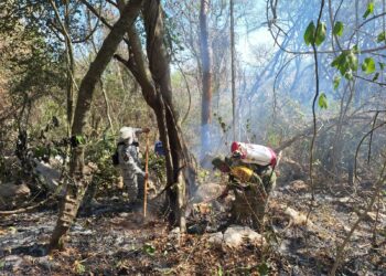 Activan Plan DN-III-E y Plan GN- A por incendio en El Mante