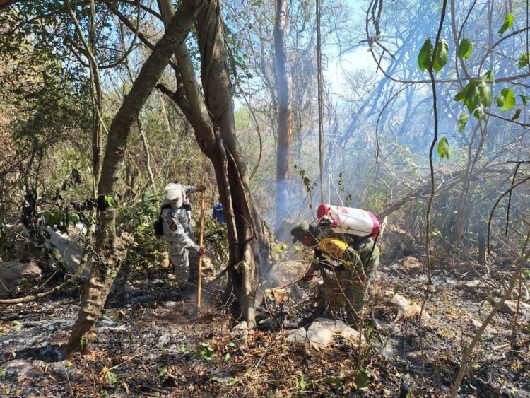 Activan Plan DN-III-E y Plan GN- A por incendio en El Mante