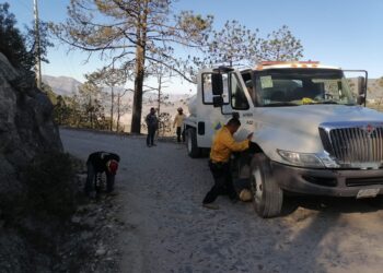 Incendio forestal en Miquihuana arrasa con 425 hectáreas de pino
