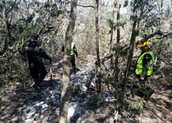 Incendio forestal en El Mante controlado al 95%