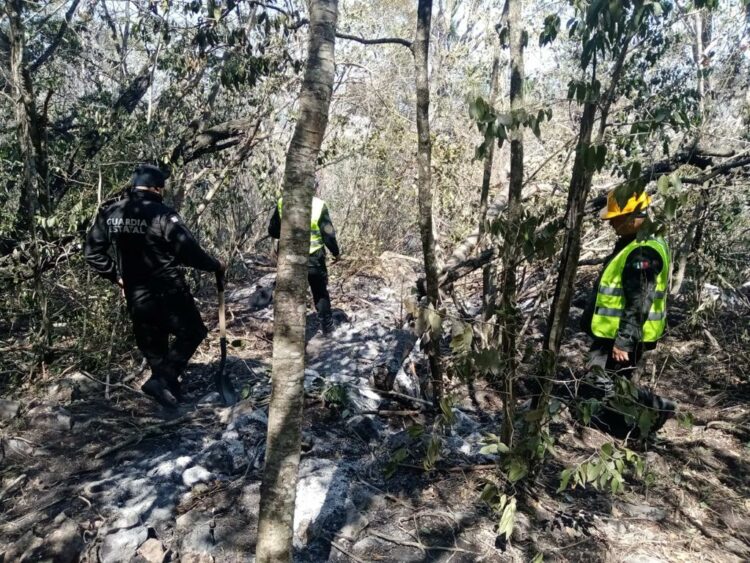 Incendio forestal en El Mante controlado al 95%