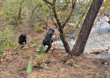 Colabora PC de Victoria en combate de incendioforestal en Cañón del Novillo