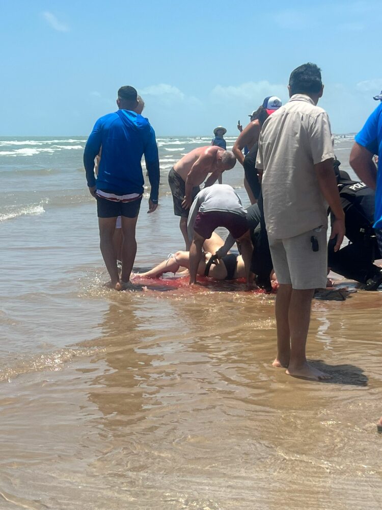 Terror el 4 de Julio: feroz ataque de un tiburón en la Isla del Padre