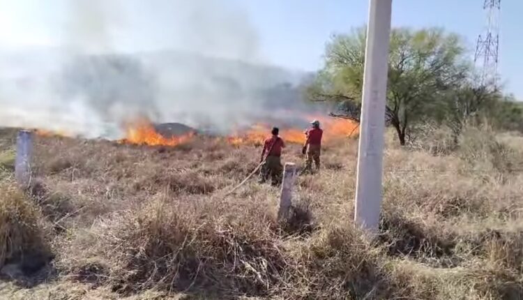 Tras incremento de incendios de pastizales en Victoria, Protección Civil lanza advertencia