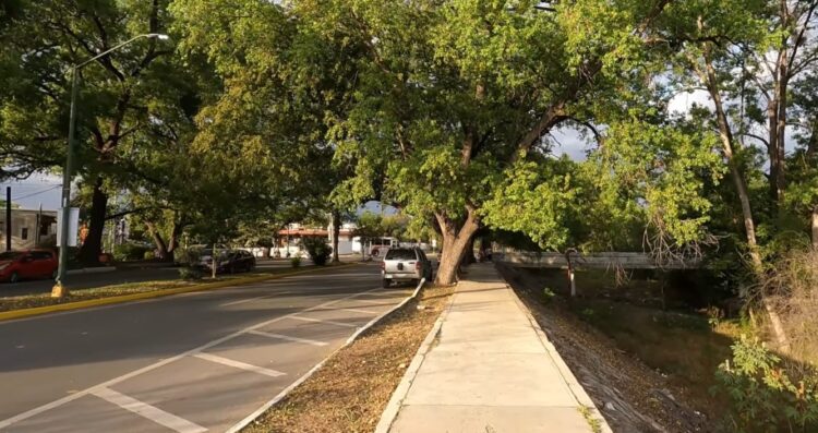 Proyecto busca rediseñar  los bulevares más transitados