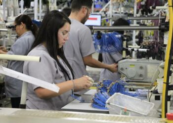 Crecen las oportunidades de trabajo en Victoria