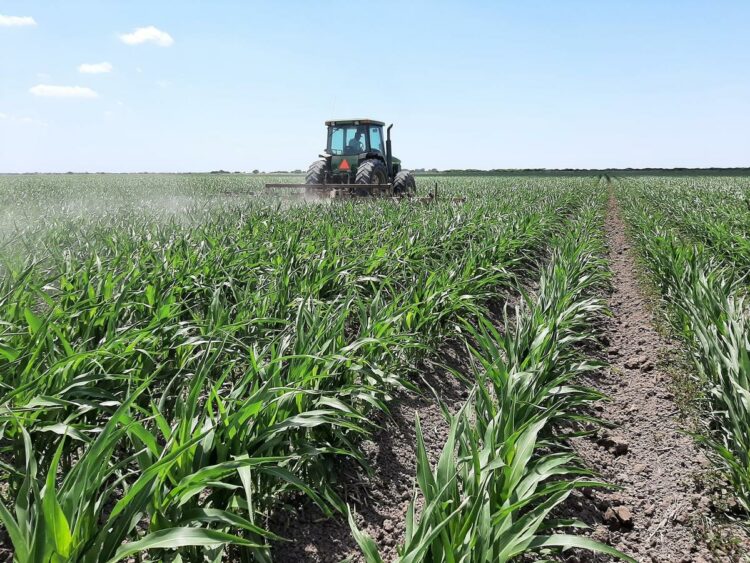 Innovación agrícola: la propuesta de Tamaulipas para resolver protestas del sector campesino