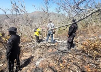 Realiza Protección Civil operaciones permanentes de control de incendios forestales en Tamaulipas