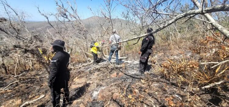 Realiza Protección Civil operaciones permanentes de control de incendios forestales en Tamaulipas