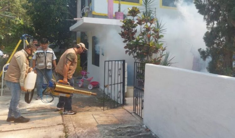 Falta de presupuesto dificulta el combate contra el dengue