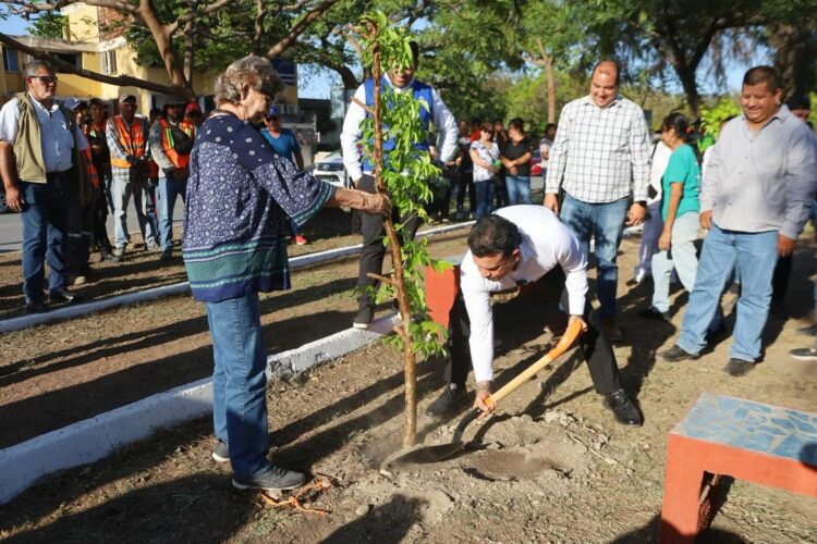 Municipio trabaja en programas de reforestación