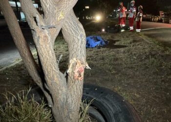 Motociclista choca contra árbol y muere