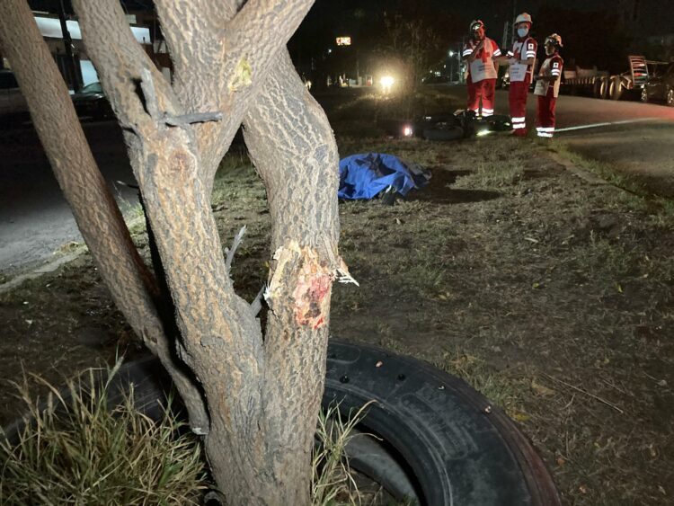 Motociclista choca contra árbol y muere