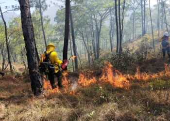Protección Civil alerta sobre alto riesgo de incendios