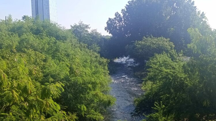 Río San Marcos recupera su cauce tras meses de sequía en Ciudad Victoria