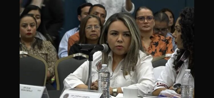 Pide diputada exentar del pago del predial a personas adultas y con discapacidad.